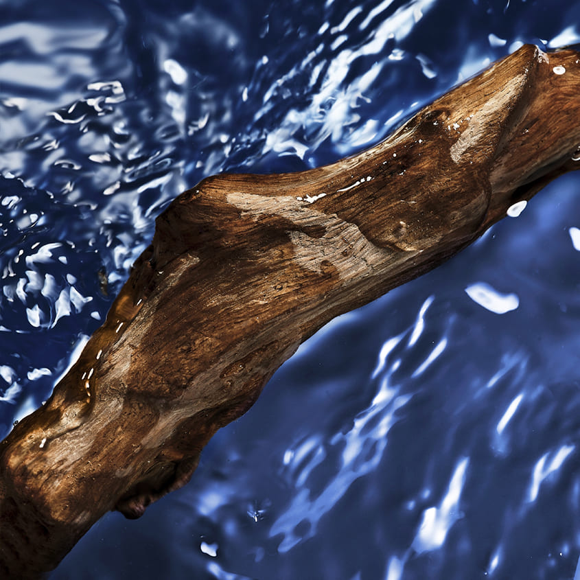Cool Water Oceanic Edition For Her