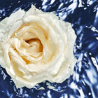 Cool Water Oceanic Edition For Her