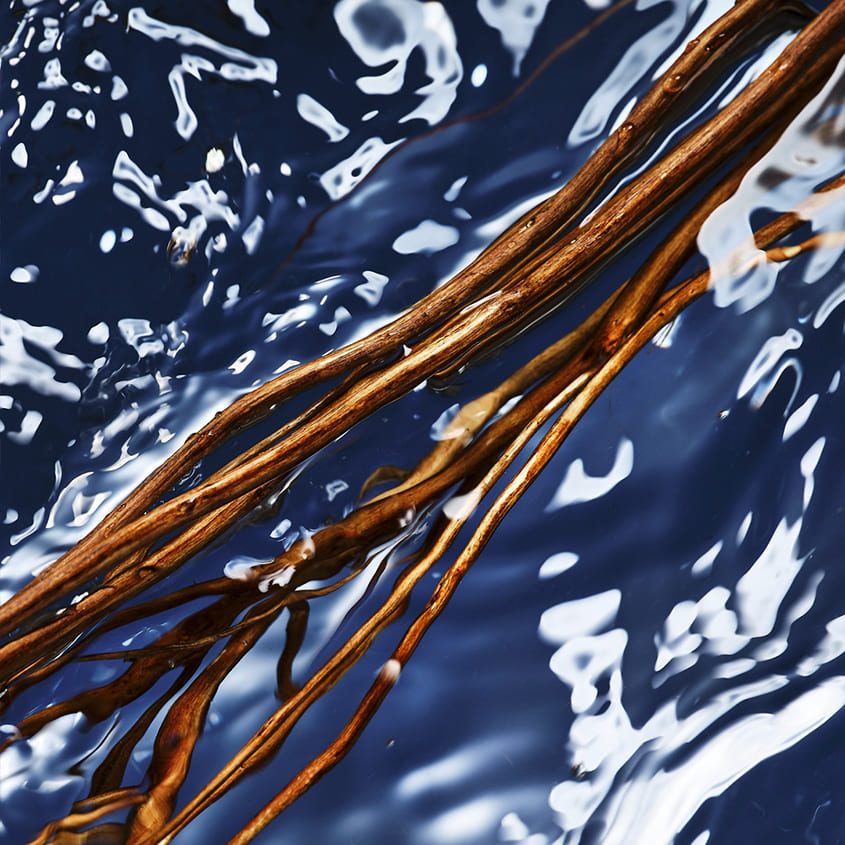Cool Water Oceanic Edition