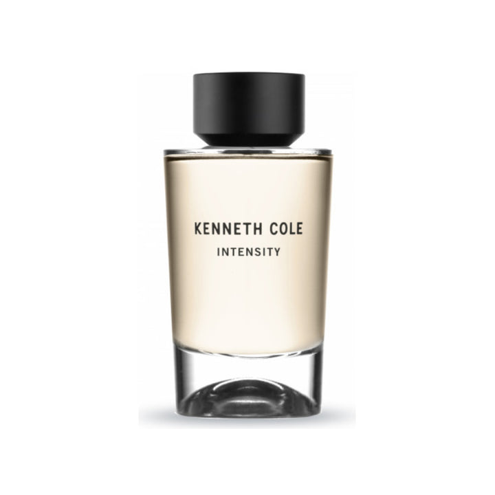 INTENSITY EDT/S 100ML