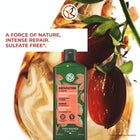 Repair Restoring Shampoo