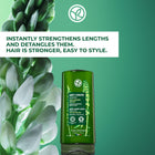 Anti-Hair Loss Fortifying Conditioner