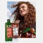 Repair Restoring Conditioner