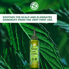 Anti-Dandruff Scalp Treatment Lotion