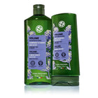 Volume Plumping Conditioner