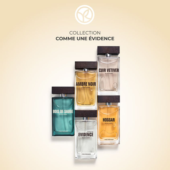 AMBRE NOIR EDT 100ML
