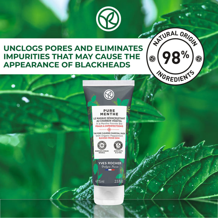 Pore Clearing Charcoal Mask Pure Menthe