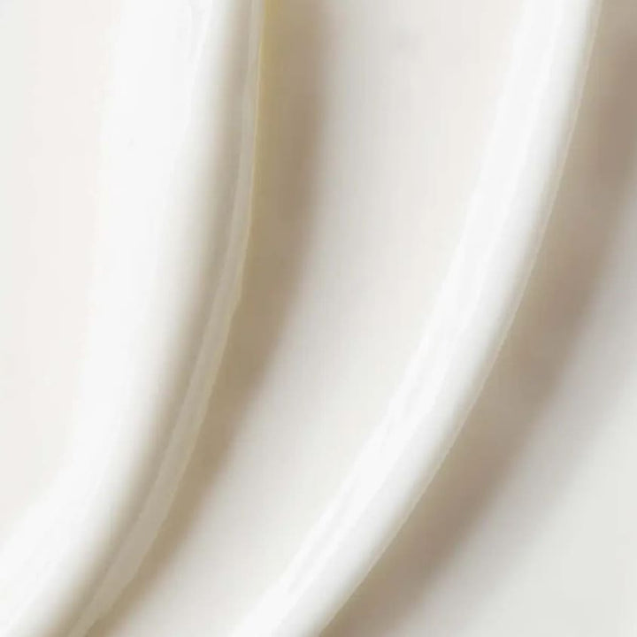 Light Moisturizing Cream 24h Famille Bio
