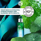 Fortifying Antipollution Daily Serum Elixir Botanique