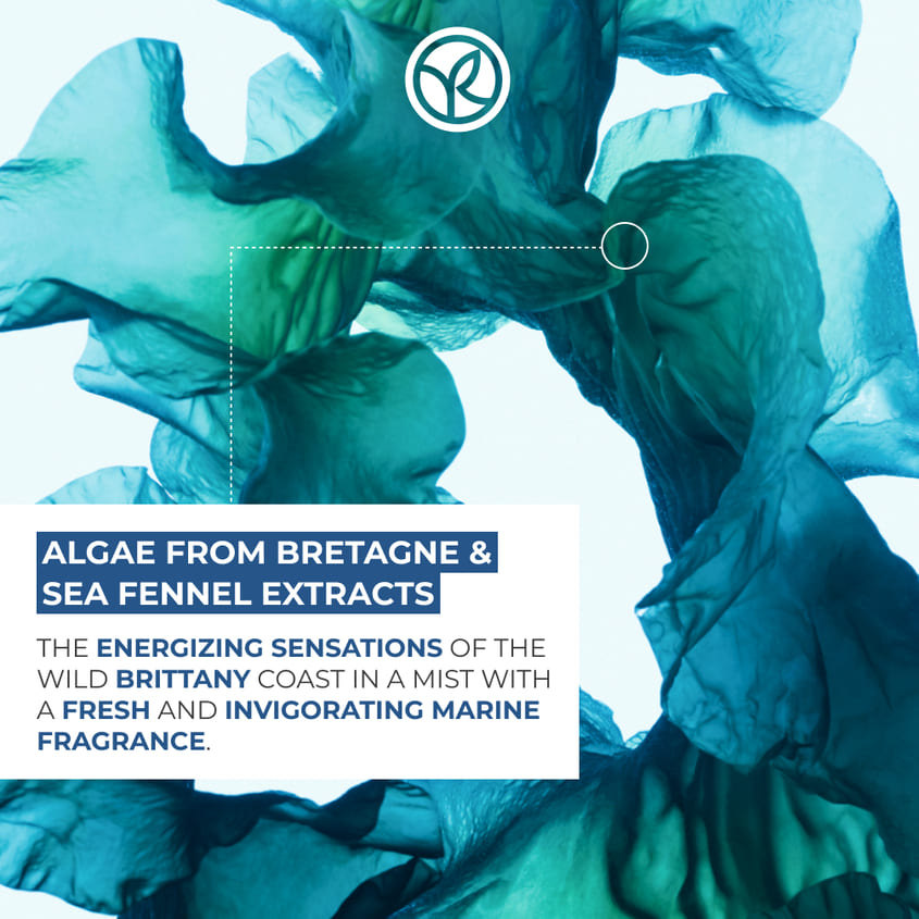 Moisturizing Hand Cream Wild Algae & Sea Fennel