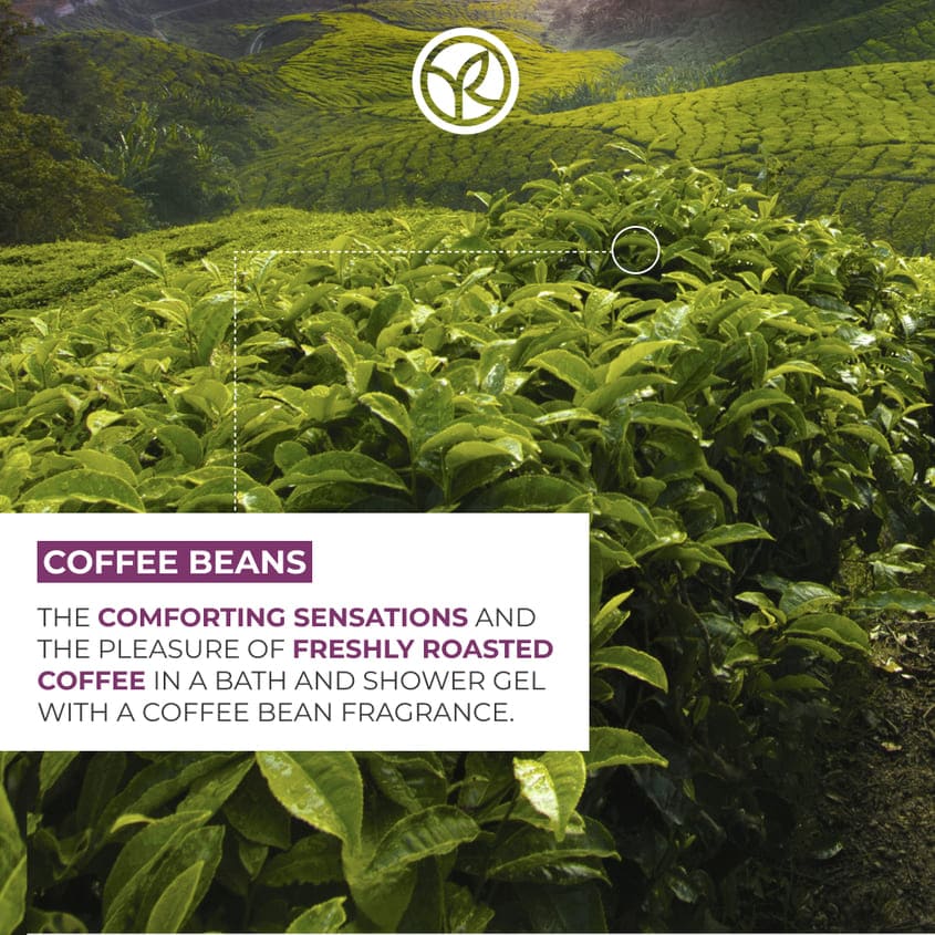 Bath And Shower Gel Coffee Beans