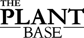 THE PLANT BASE